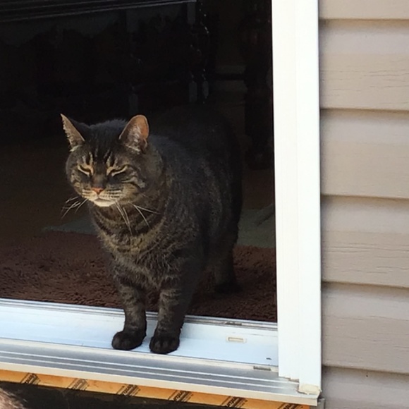 Meet your Posher, Susanne - Picture 13 of 16